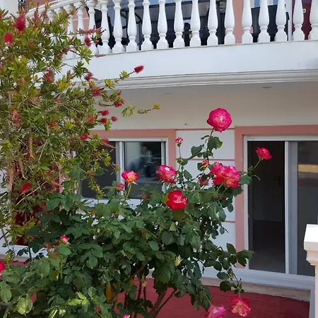 Purpleblue Loutráki