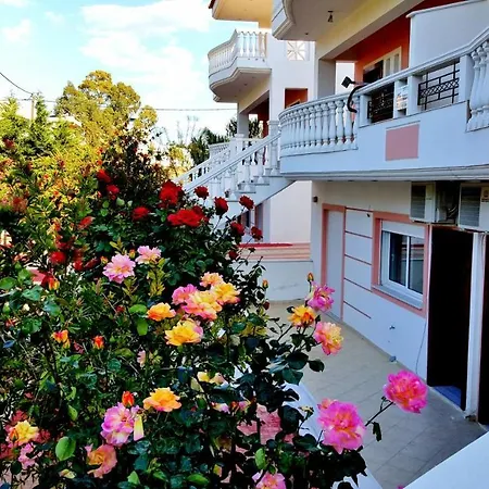 Purpleblue * לוטראקי