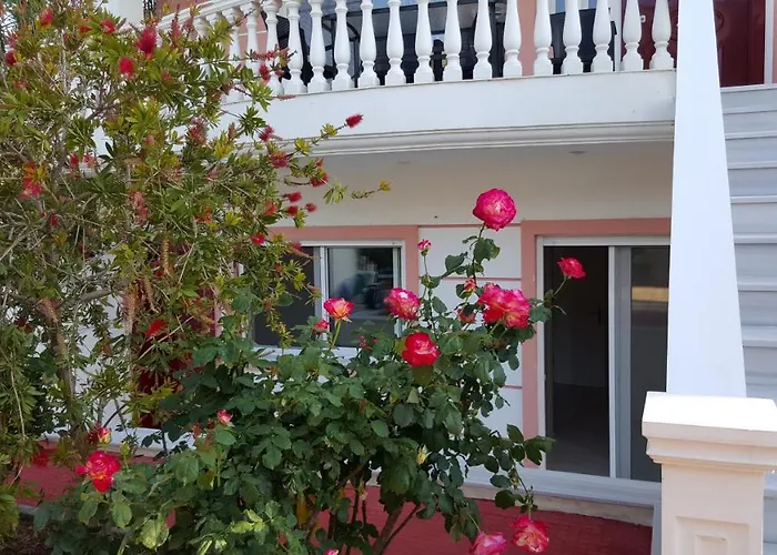 Purpleblue Лоутраки