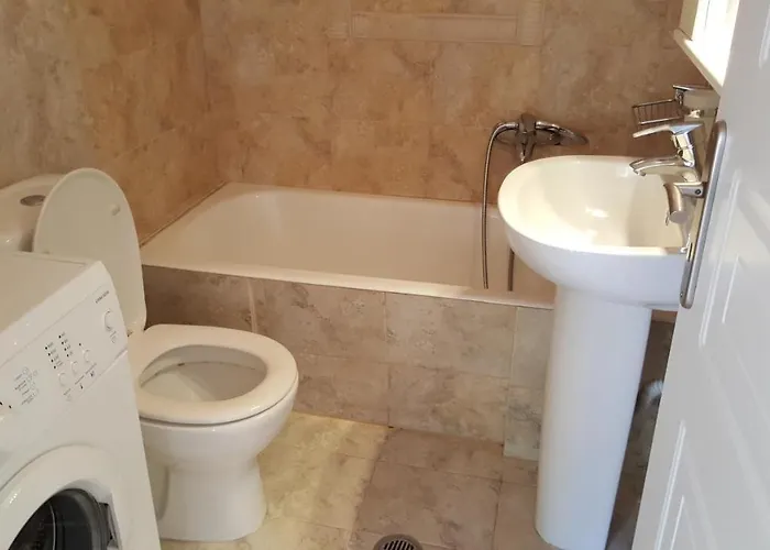 Purpleblue Лоутраки