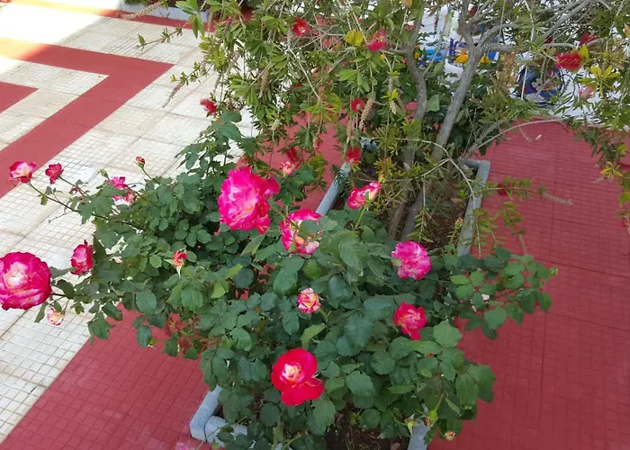 Purpleblue * Лоутраки